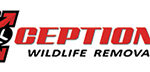 Allstar Animal Trapping Wildlife Removal logo